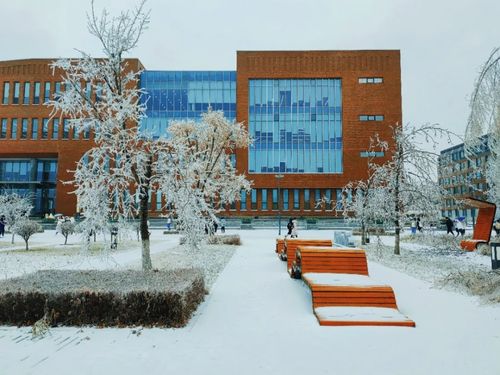 邂逅 水晶 般的浪漫 一起看看初雪后吉林高校校園有多美
